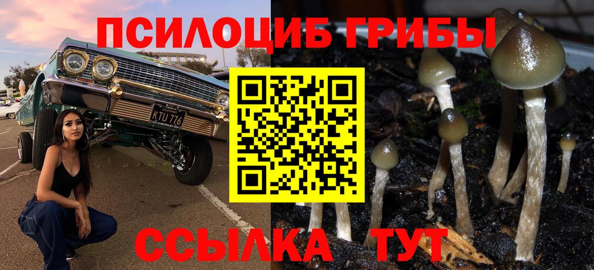 Галлюциногенные грибы Psilocybine cubensis  Вход с VPN  Сердобск 