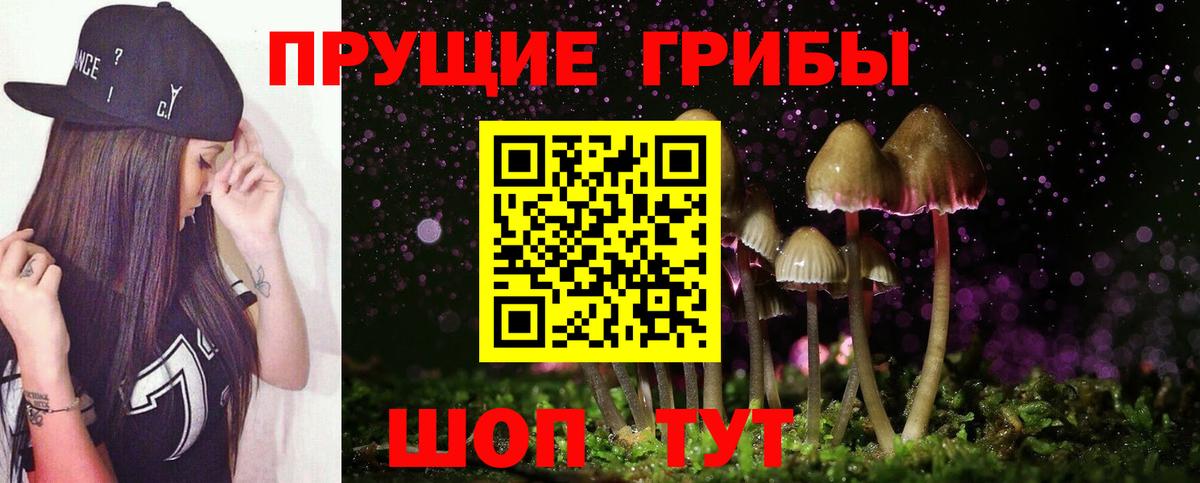 Галлюциногенные грибы Cubensis Сердобск